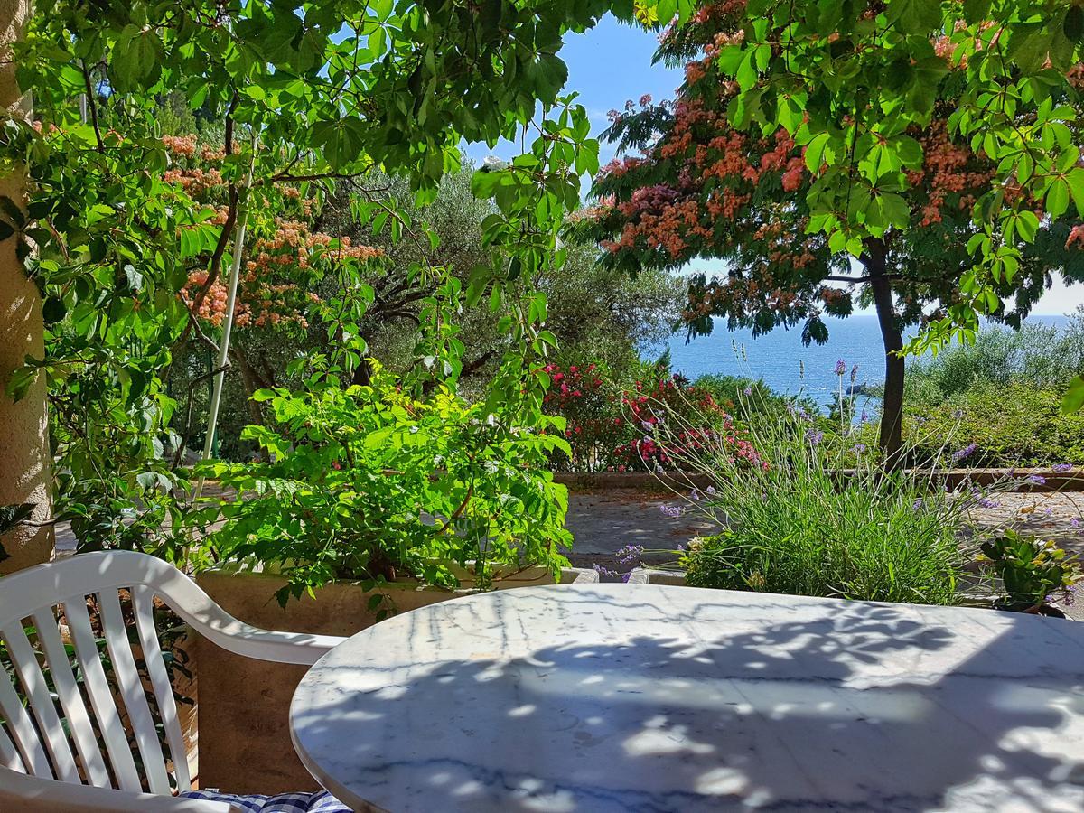 See View Apartment Budva Exterior foto